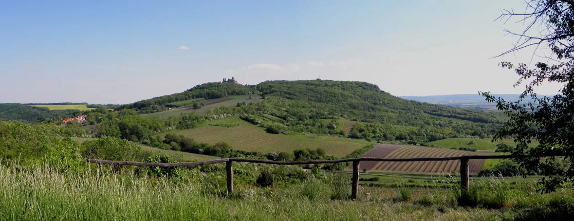 Pálava, vinice a výhled do jihomoravské krajiny
